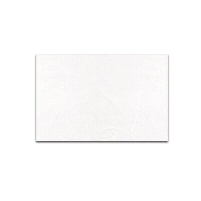 Strohseide 25 g, 50 x 70 cm, 25 Bögen, Weiss Strohseide 25 g, 50 x 70 cm, 25 Bögen, Weiss