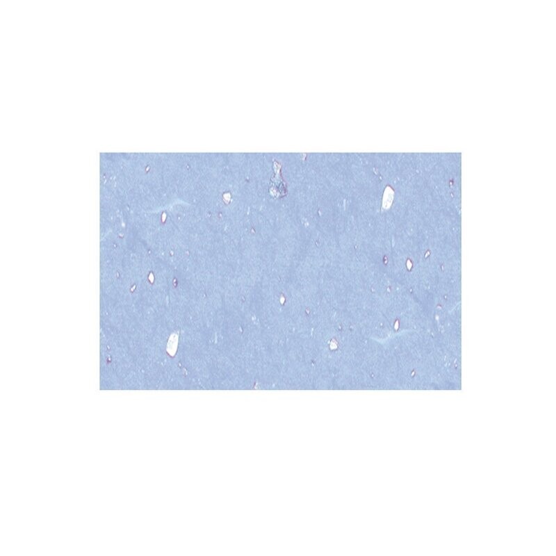 Muschelpapier 70 g / qm, 50 x 70 cm, 1 Bogen, Hellblau Muschelpapier 70 g / qm, 50 x 70 cm, 1 Bogen, Hellblau