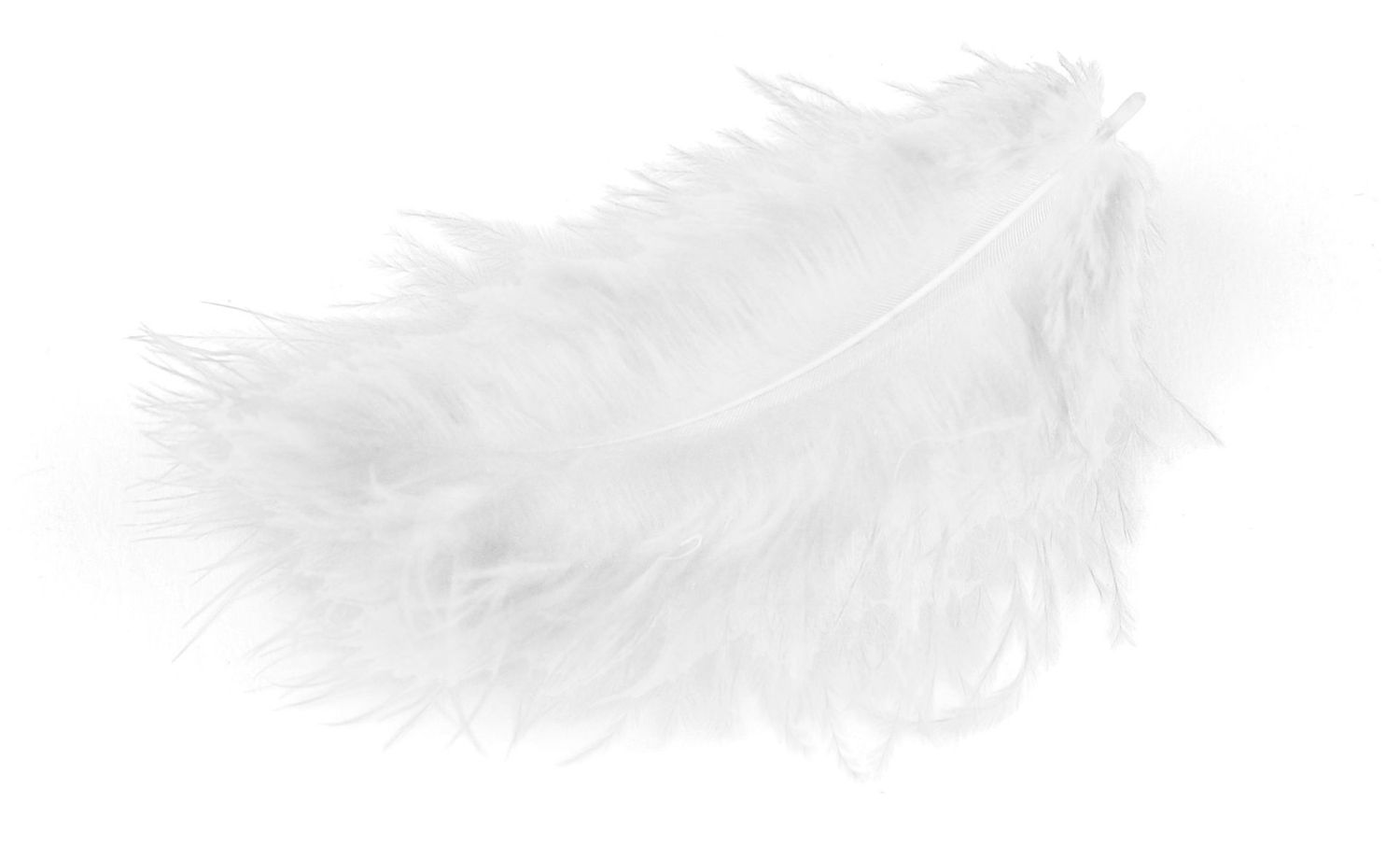 Flauschige Putenmollen, Beutel zu 10 g, weiss