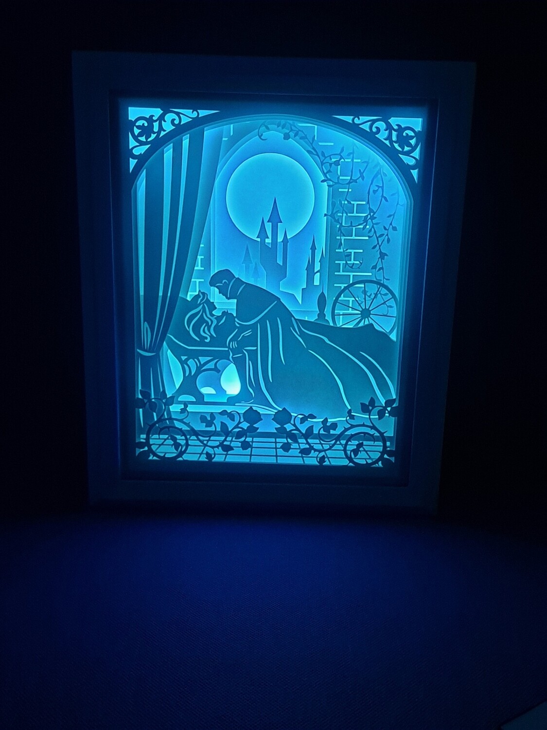 Sleeping Princess 8x10 inch lightbox