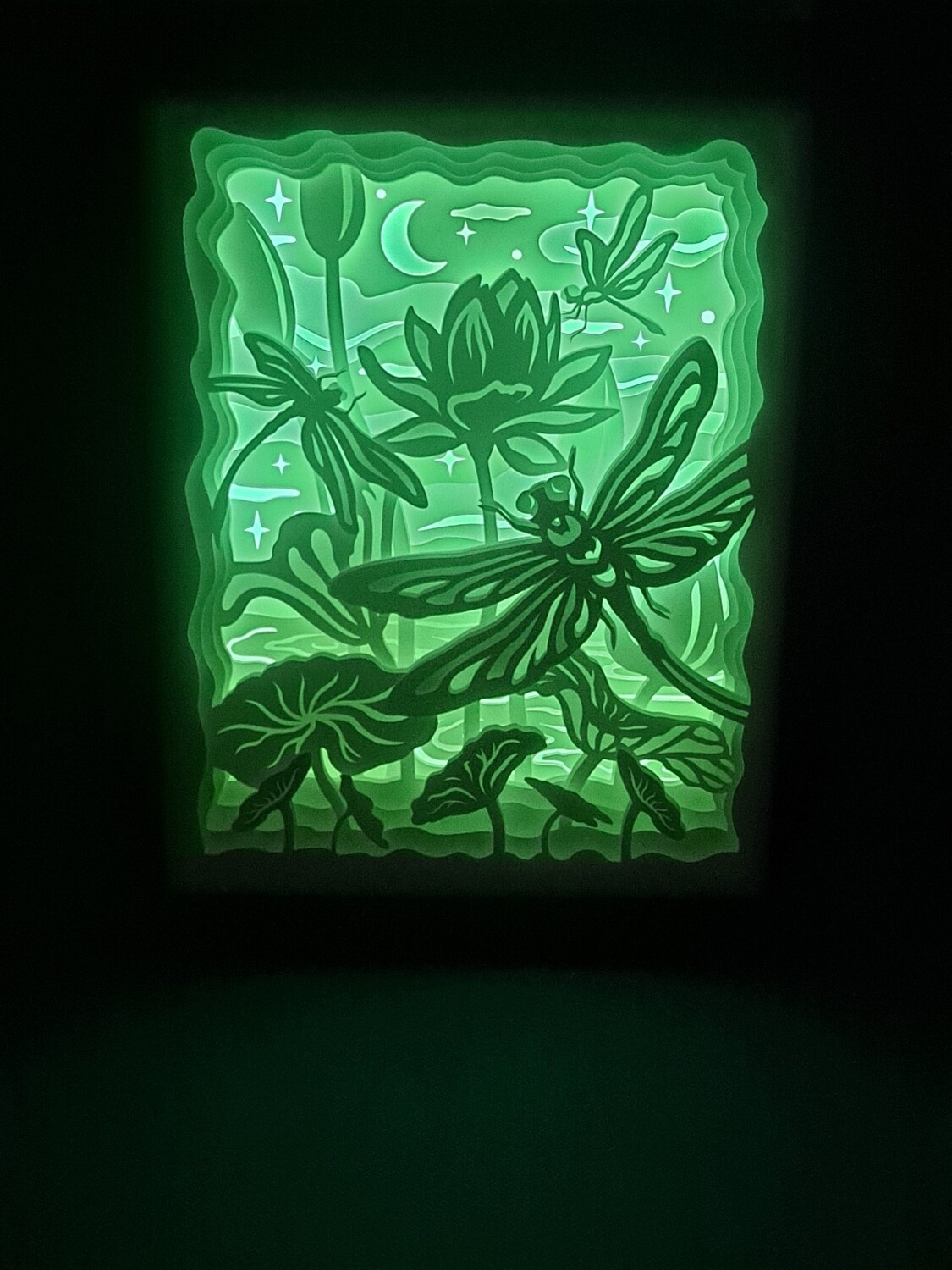 Dragonfly 8x10 inch lightbox