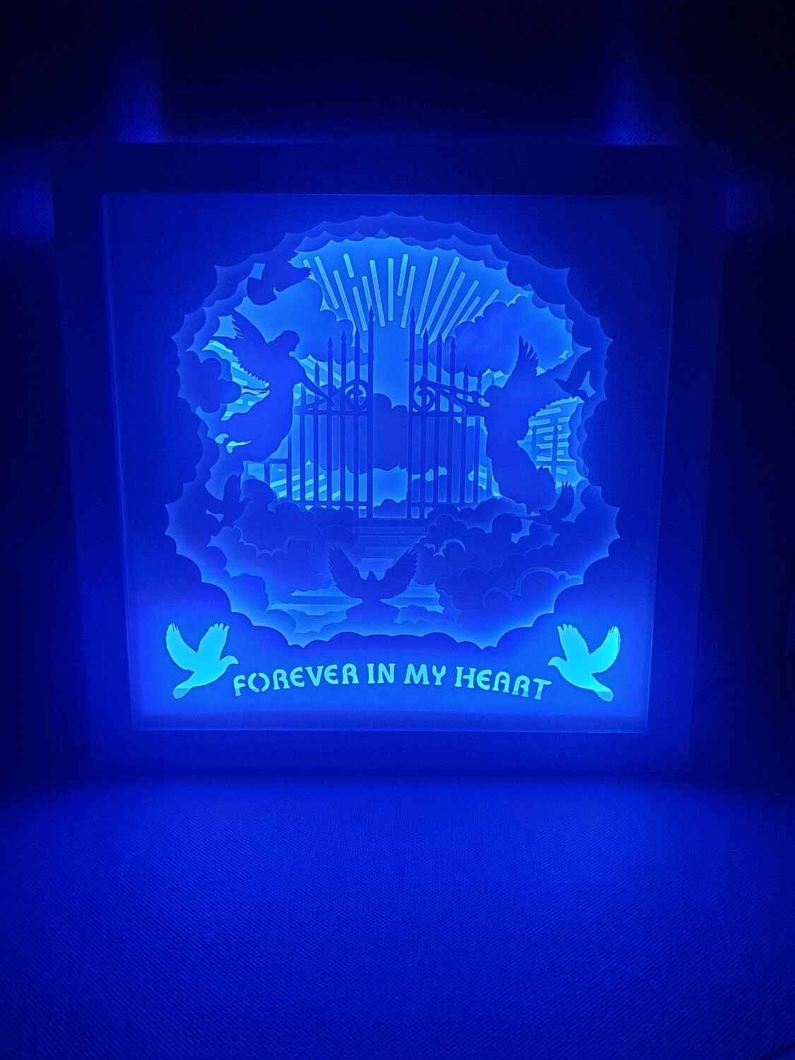 Forever in My Heart 9x9 inch lightbox