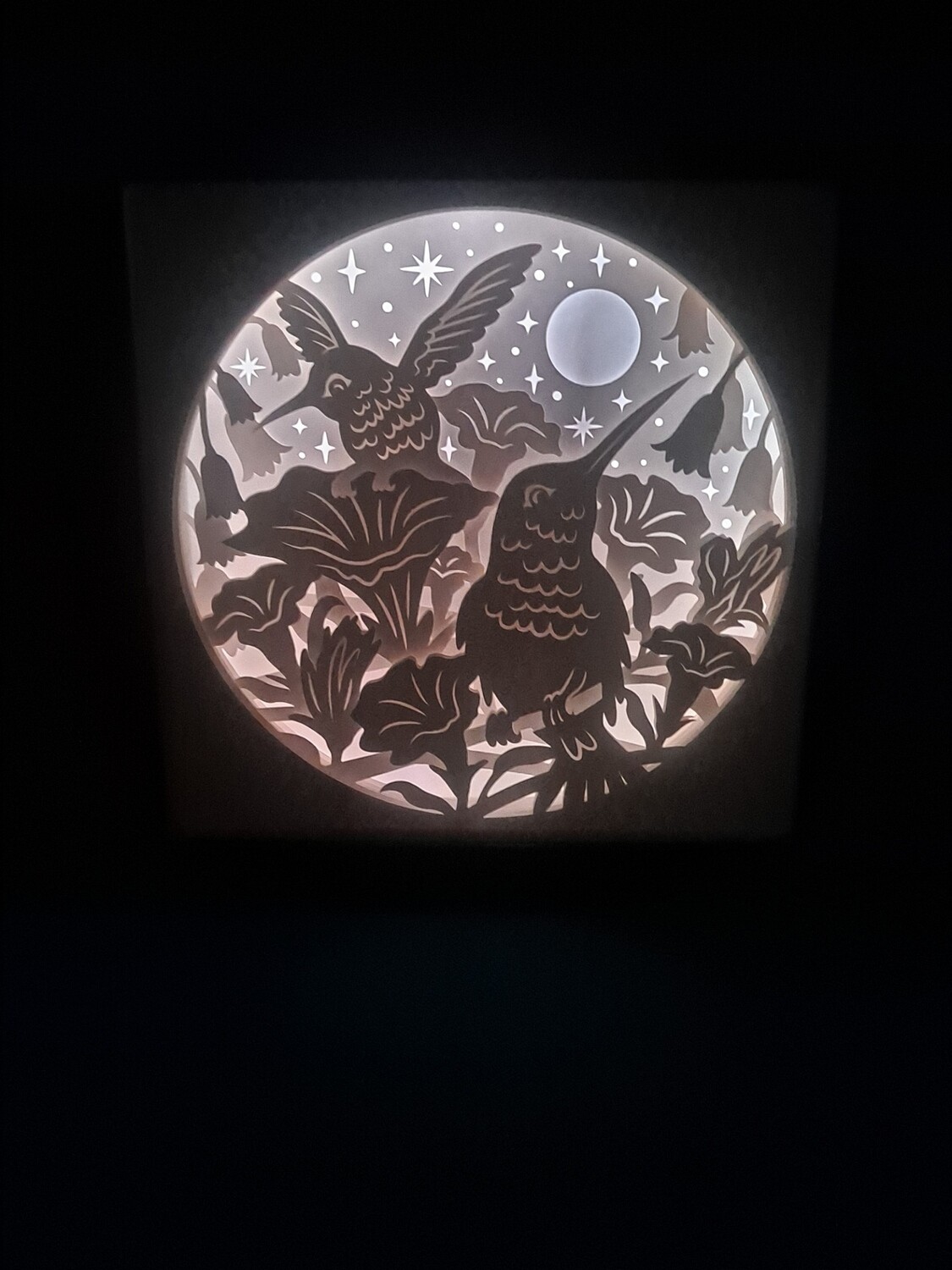 Hummingbirds 9x9 inch lightbox