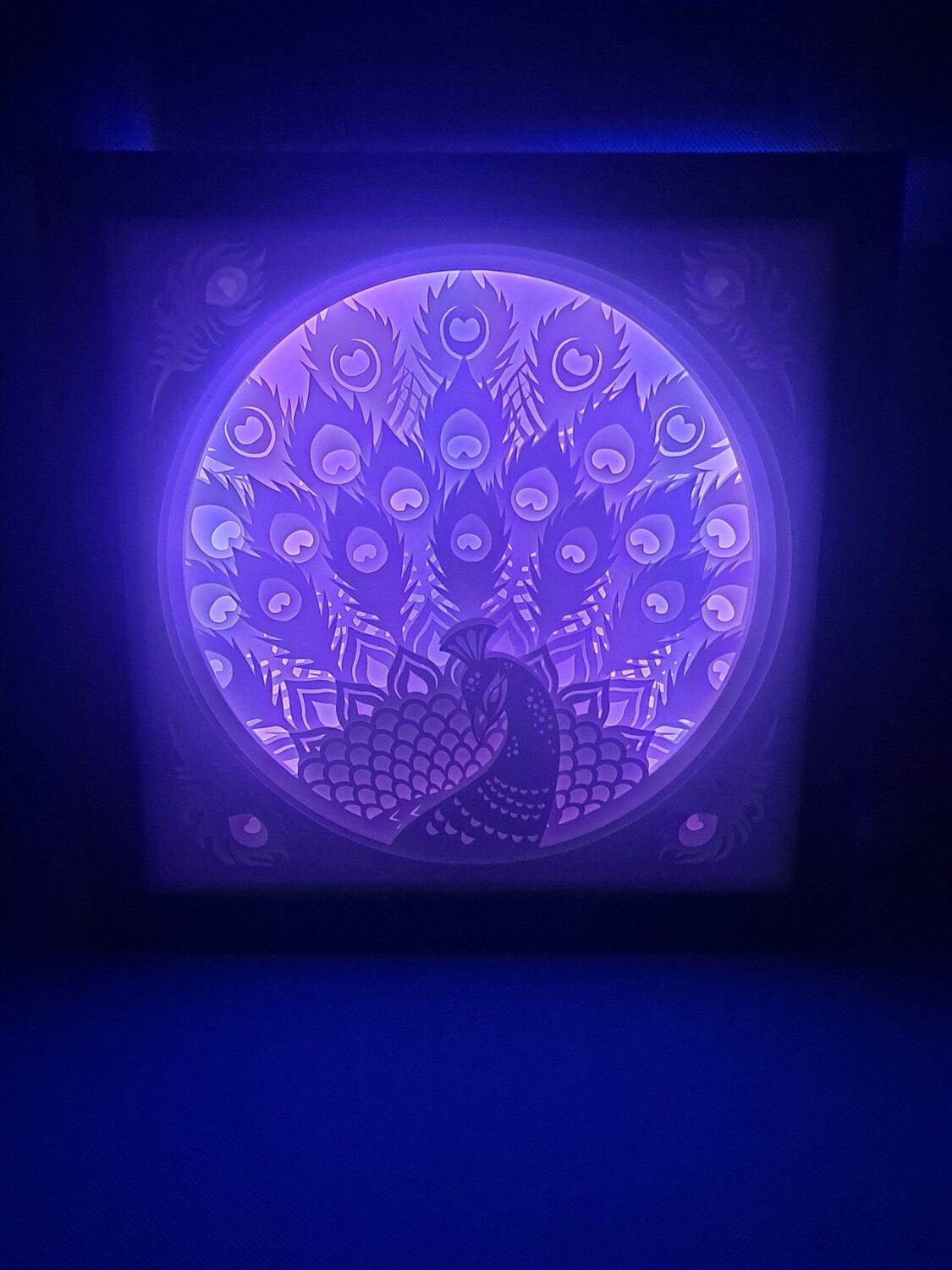 Peacock 9x9 inch lightbox