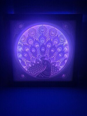 Peacock 9x9 inch lightbox