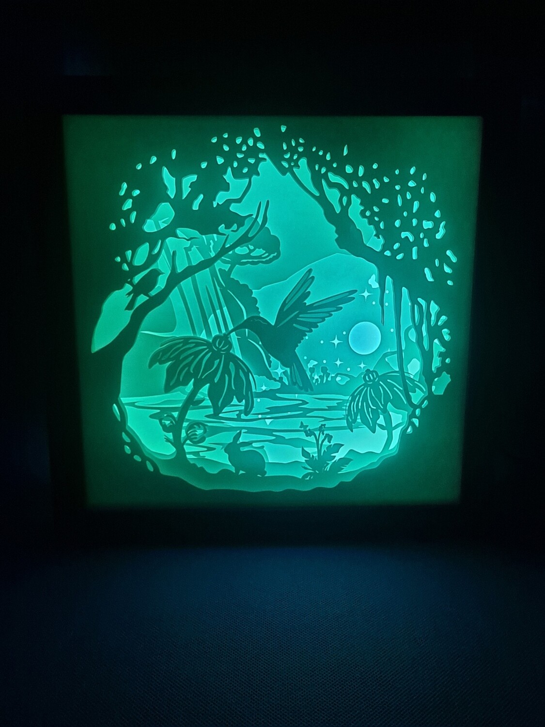 Hummingbird flying 9x9 inch lightbox