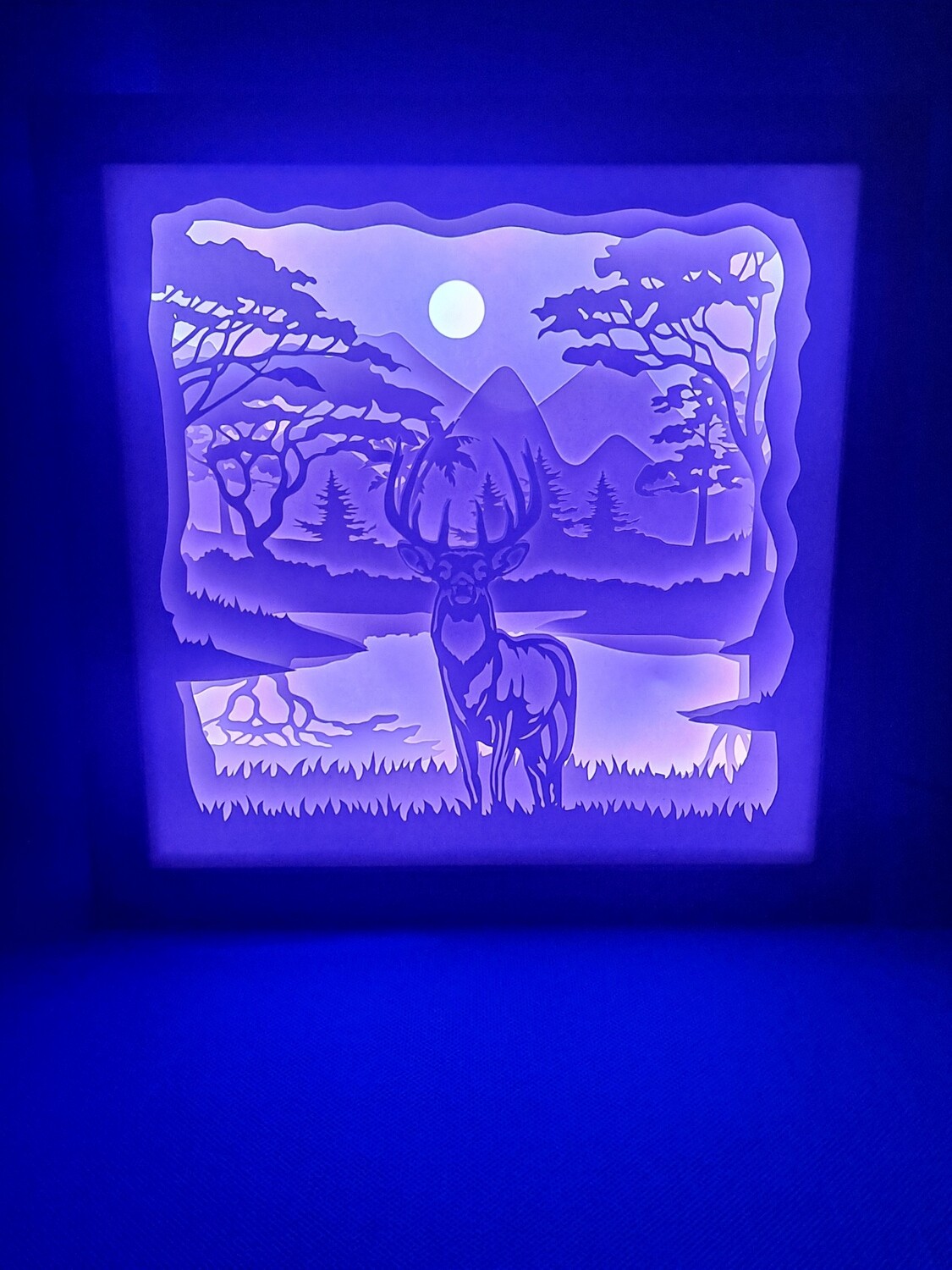 Deer in Moonlight 9x9 inch lightbox
