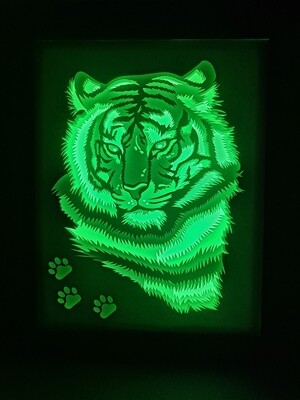 Tiger 8x10 inch lightbox
