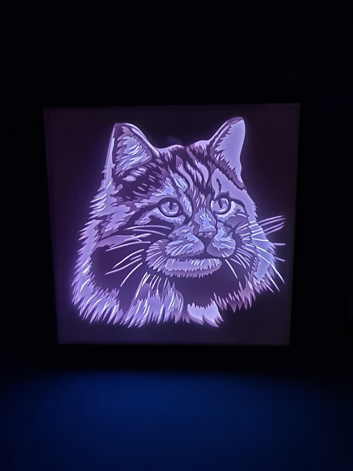 Longhair Cat 2 9x9 inch lightbox