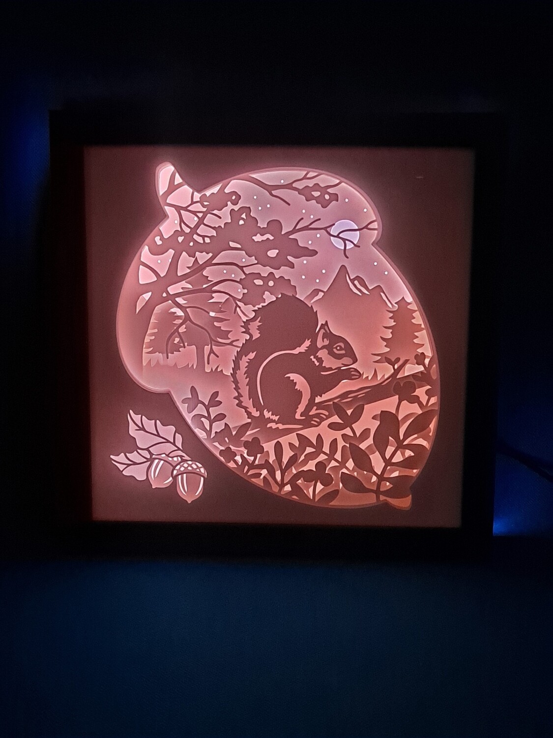 Squirrel 9x9 inch lightbox