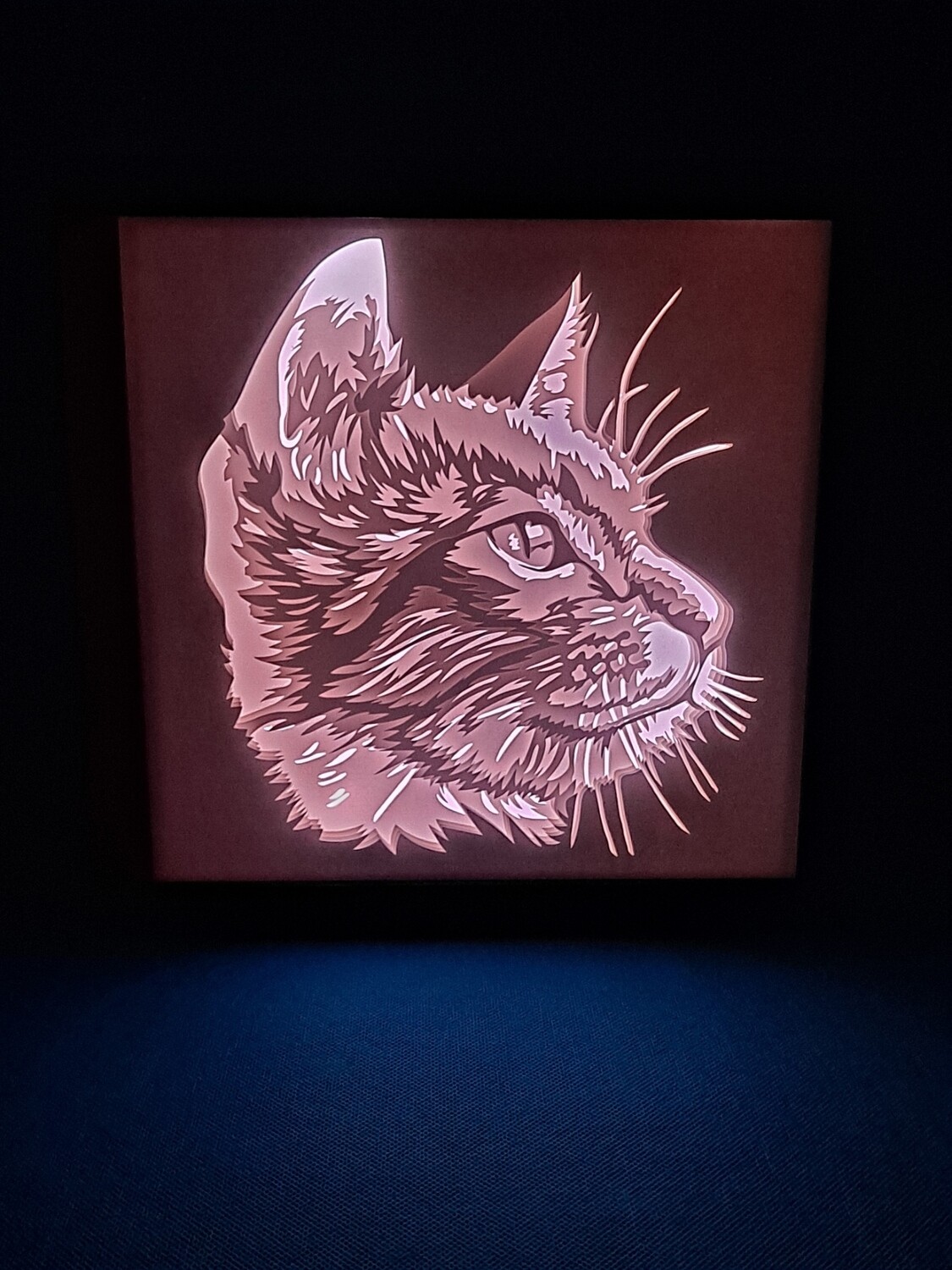 Shorthair Cat Profile 9x9 inch lightbox