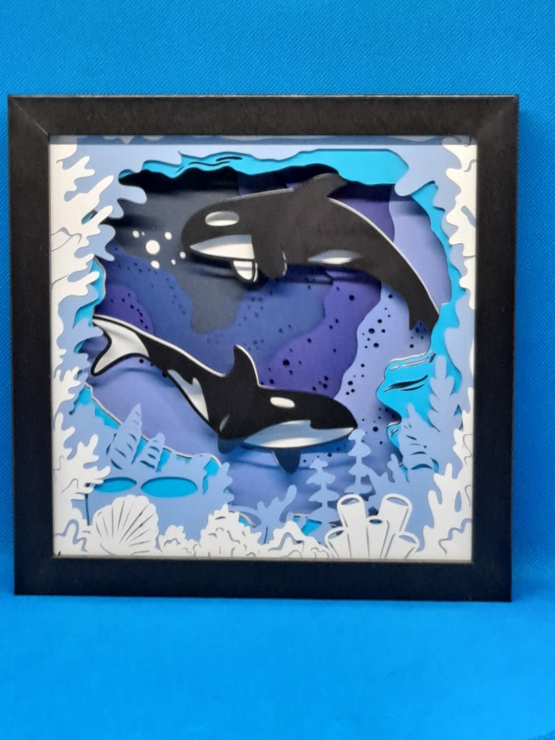 Orcas 8x8 inch shadowbox