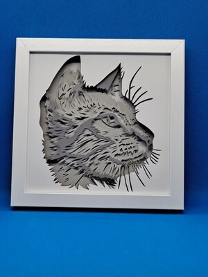 Short Haired Cat with Gray Fur Layered 8x8 inch shadowbox