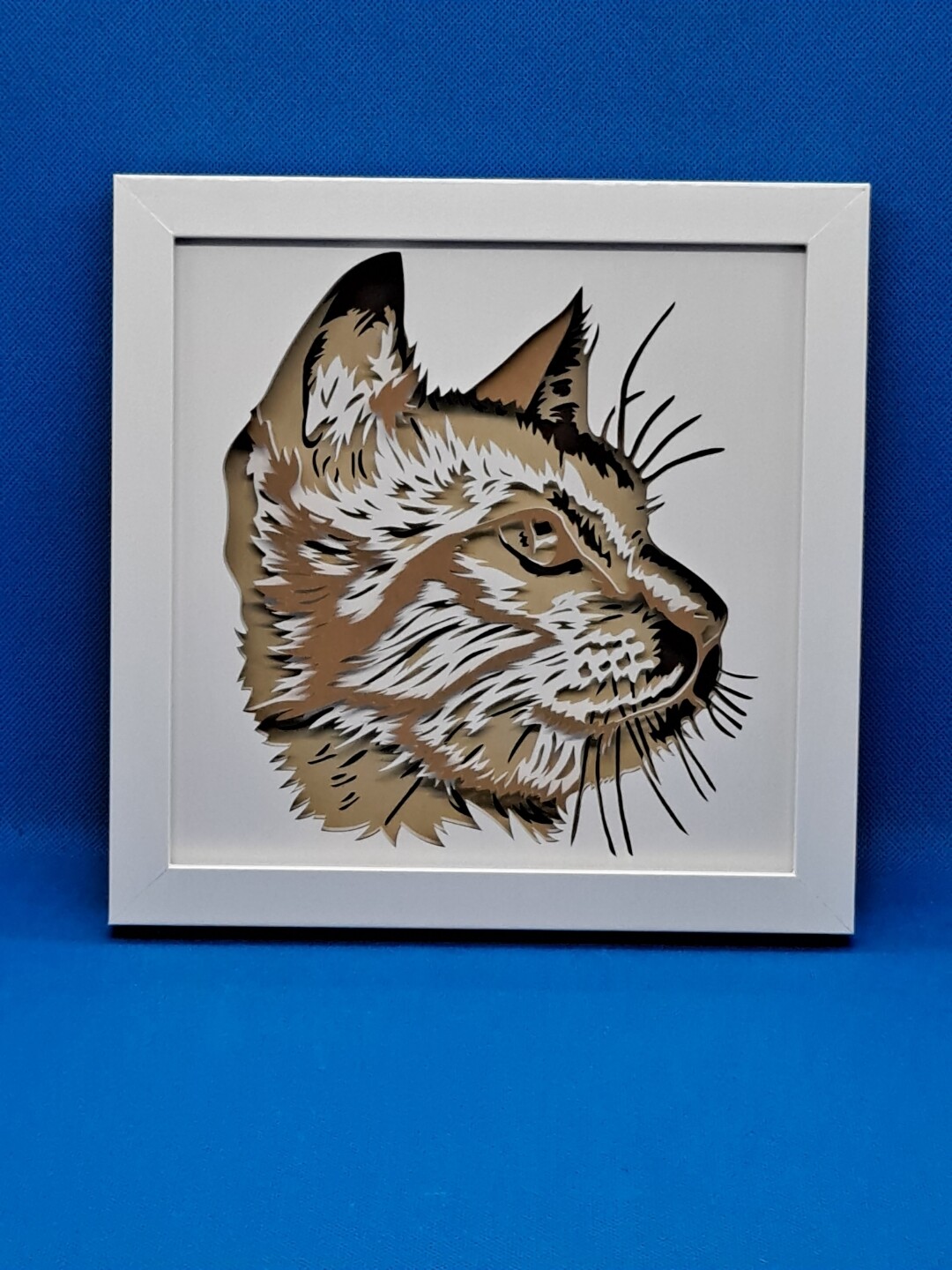 Short Haired Cat with Brown and Black Fur Layered 8x8 inch shadowbox