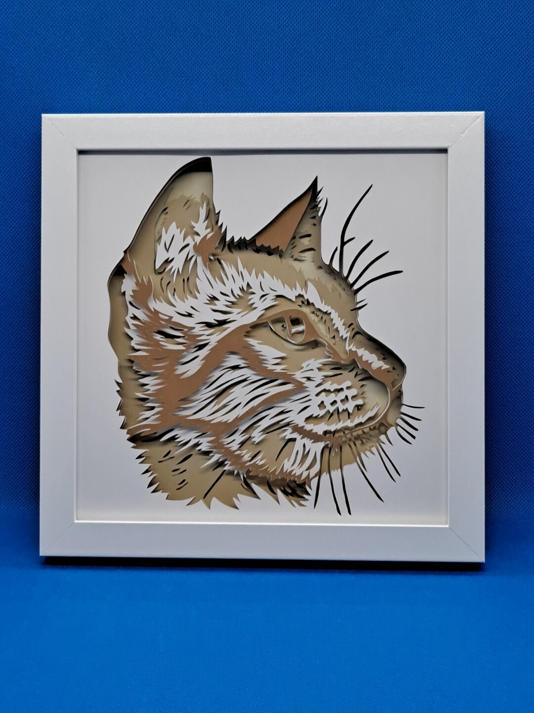 Short Haired Cat with Tan and Brown Fur Layered 8x8 inch shadowbox