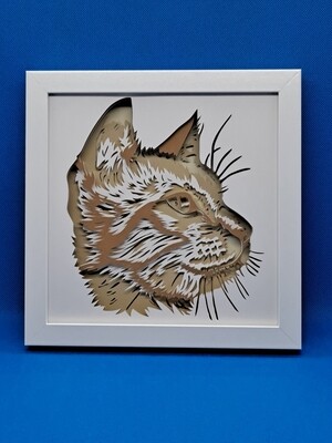 Short Haired Cat with Tan and Brown Fur Layered 8x8 inch shadowbox