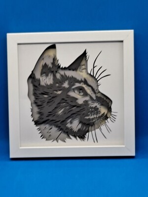 Short Haired Cat with Gray and Black Fur Layered 8x8 inch shadowbox