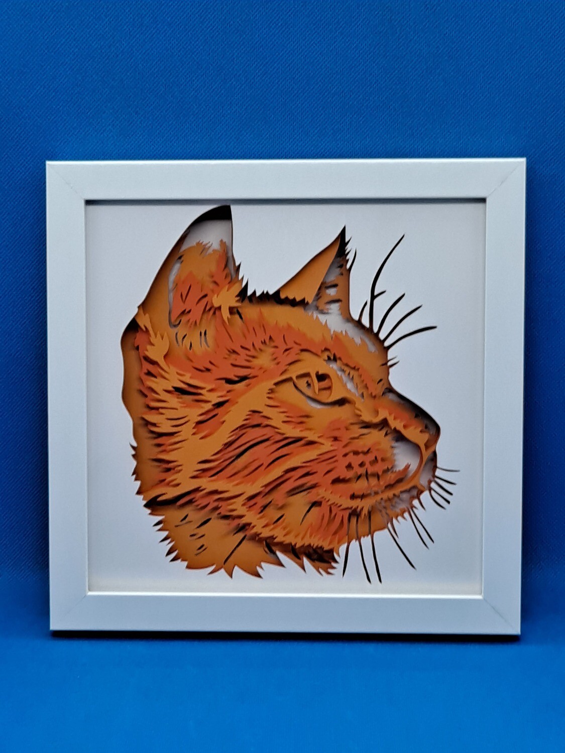 Short Haired Cat with Shades of Red Fur Layered 8x8 inch shadowbox