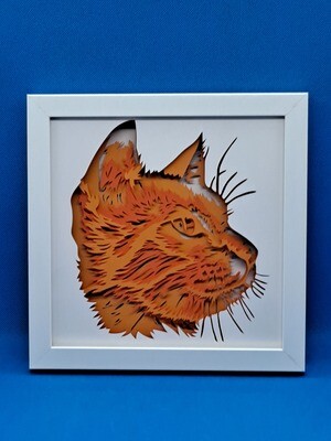 Short Haired Cat with Shades of Red Fur Layered 8x8 inch shadowbox