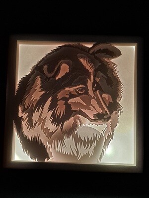 Shetland Sheep Dog 9x9 inch lightbox