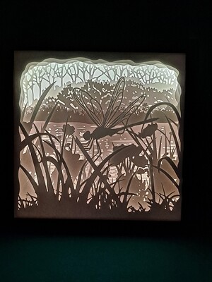 Dragonfly 9x9 Inch Lightbox