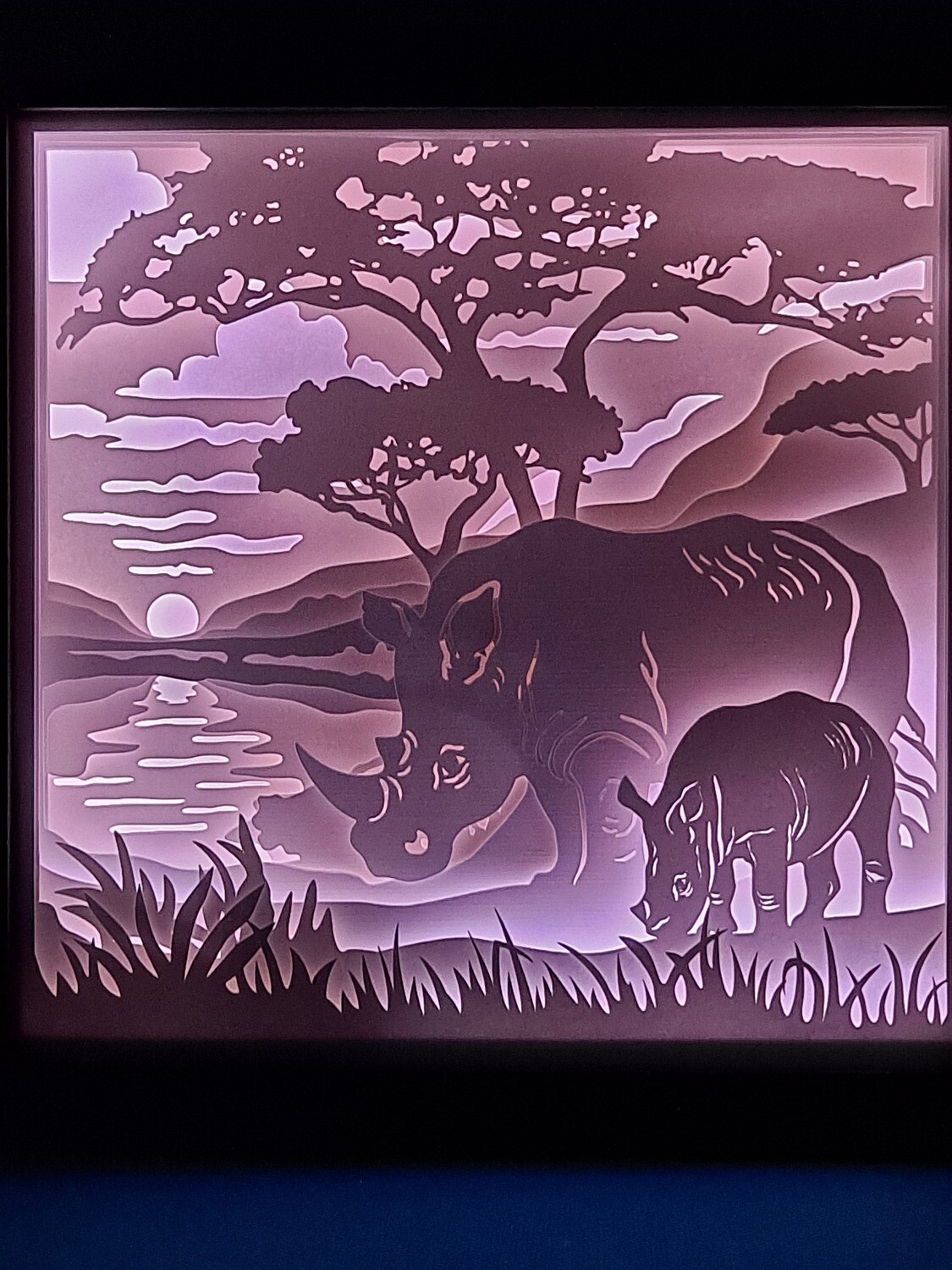 Rhinoceros 9x9 Inch Lightbox