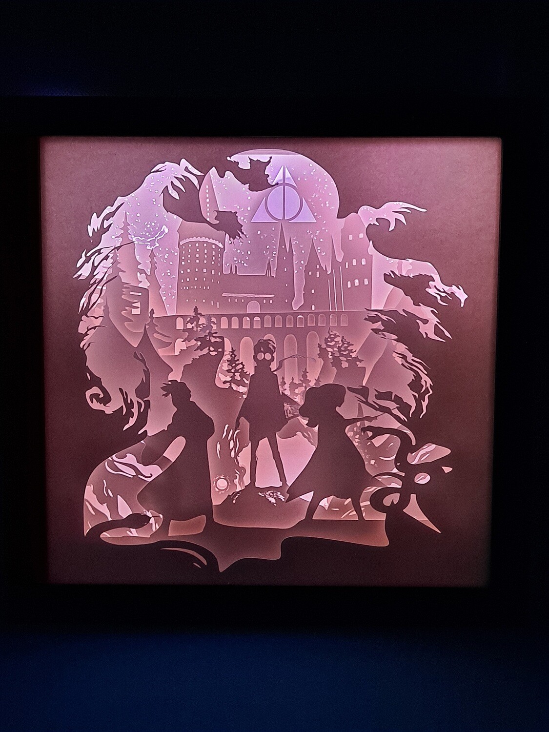 Harry Potter 4 9x9 Inch Lightbox