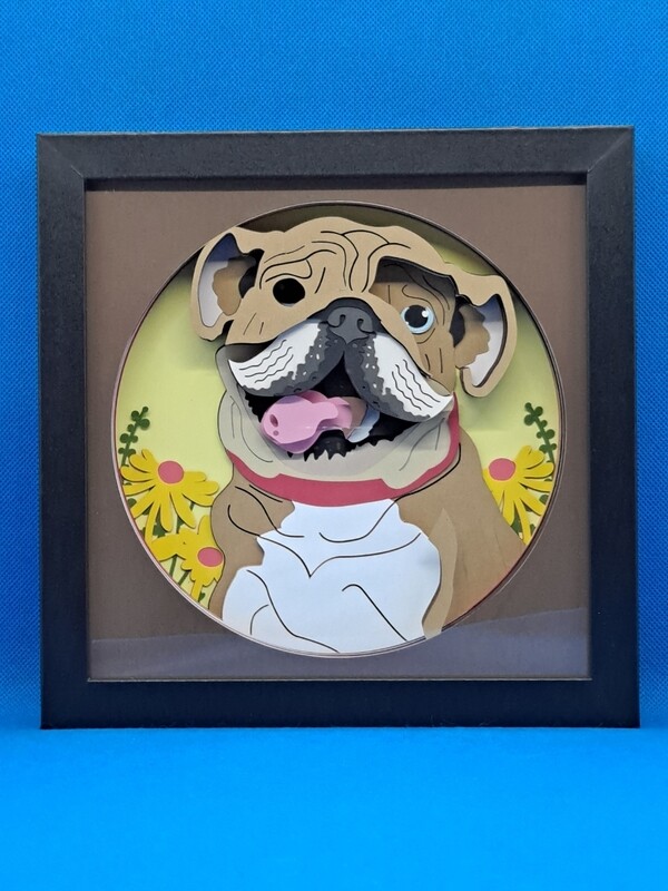 Bulldog 8x8 inch shadowbox