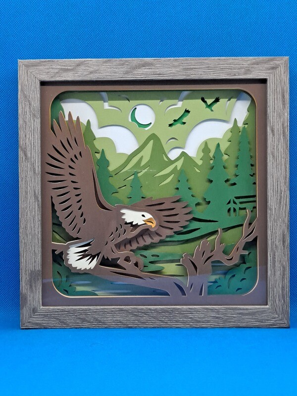 Bald Eagle 8x8 inch shadowbox