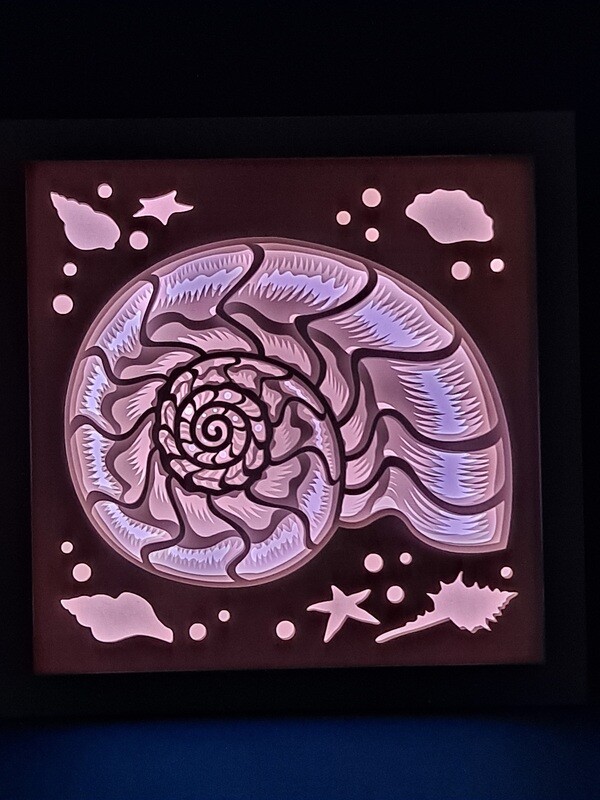 Conch 9x9 Inch Lightbox Conch 9x9 Inch Lightbox