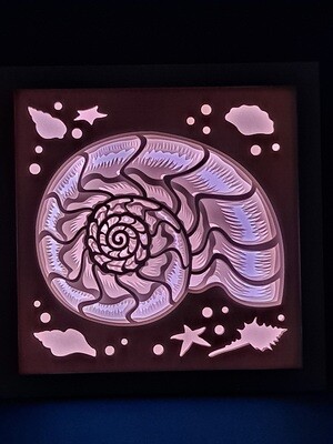 Conch 9x9 Inch Lightbox