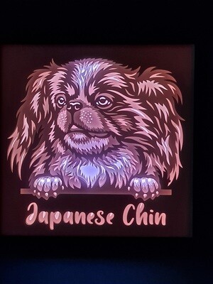 Japanese Chin 9x9 Inch Lightbox