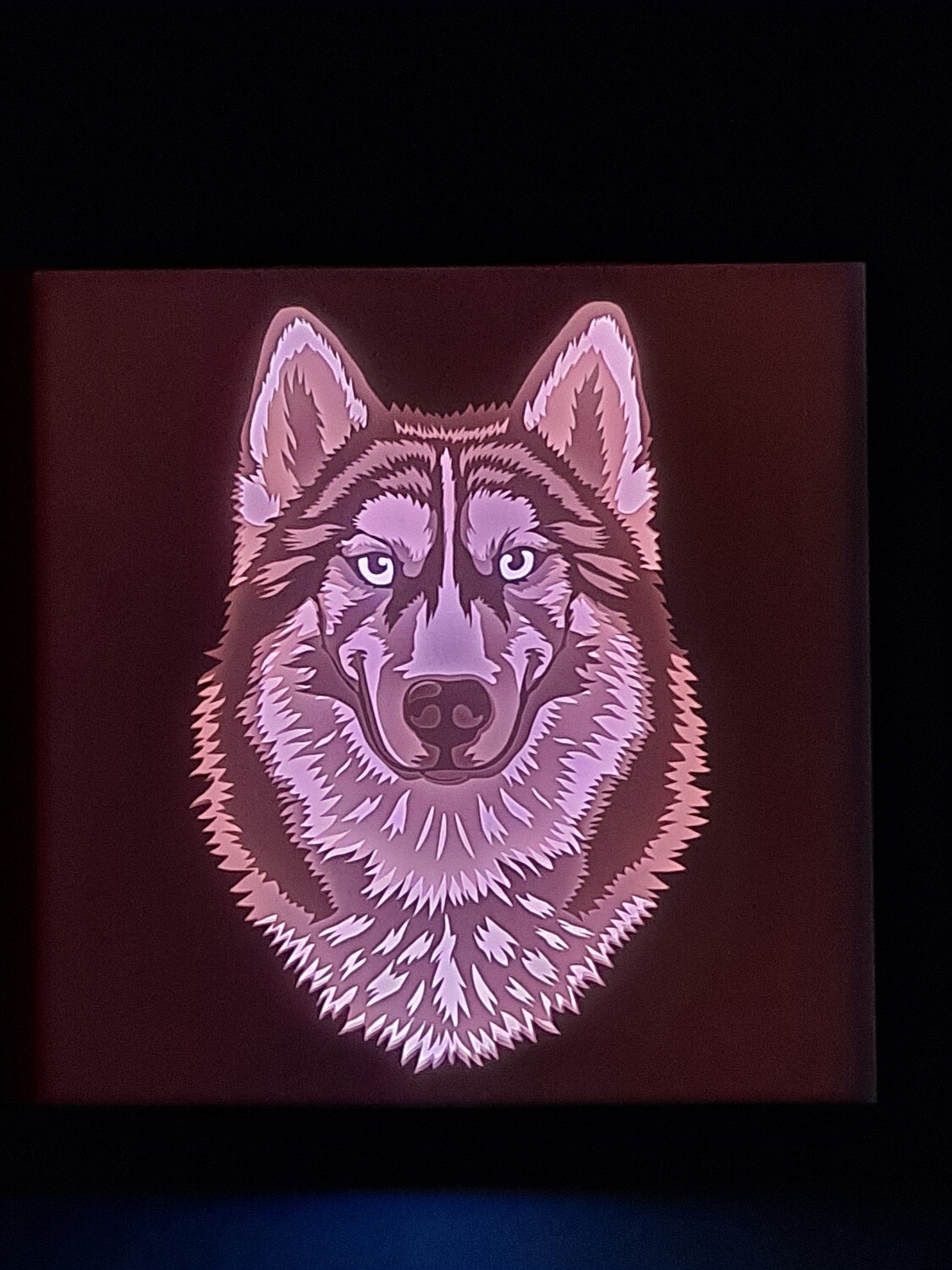 Husky 9x9 Inch Lightbox