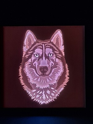 Husky 9x9 Inch Lightbox
