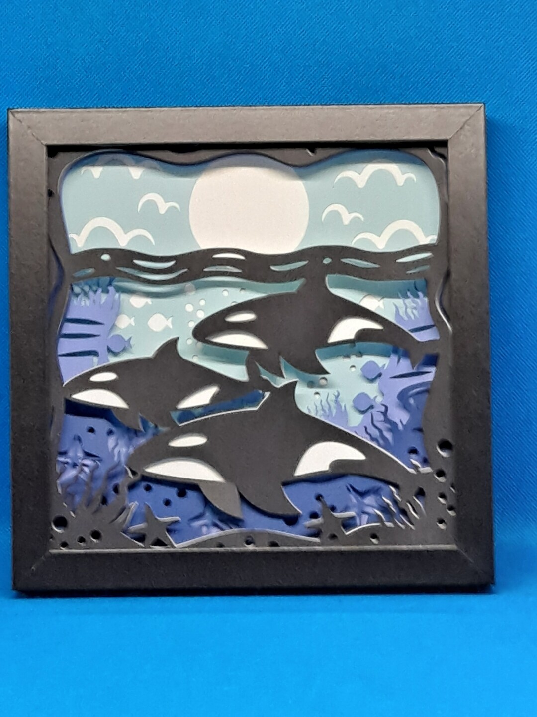 Killer Whale Orca 8x8 inch shadowbox