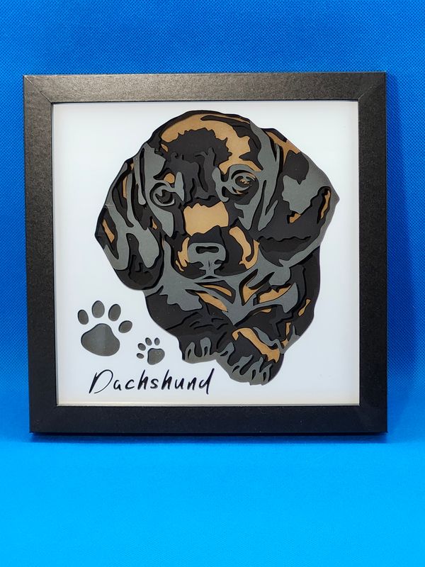 Black Dachshund w/Paw Print 8x8 inch shadowbox