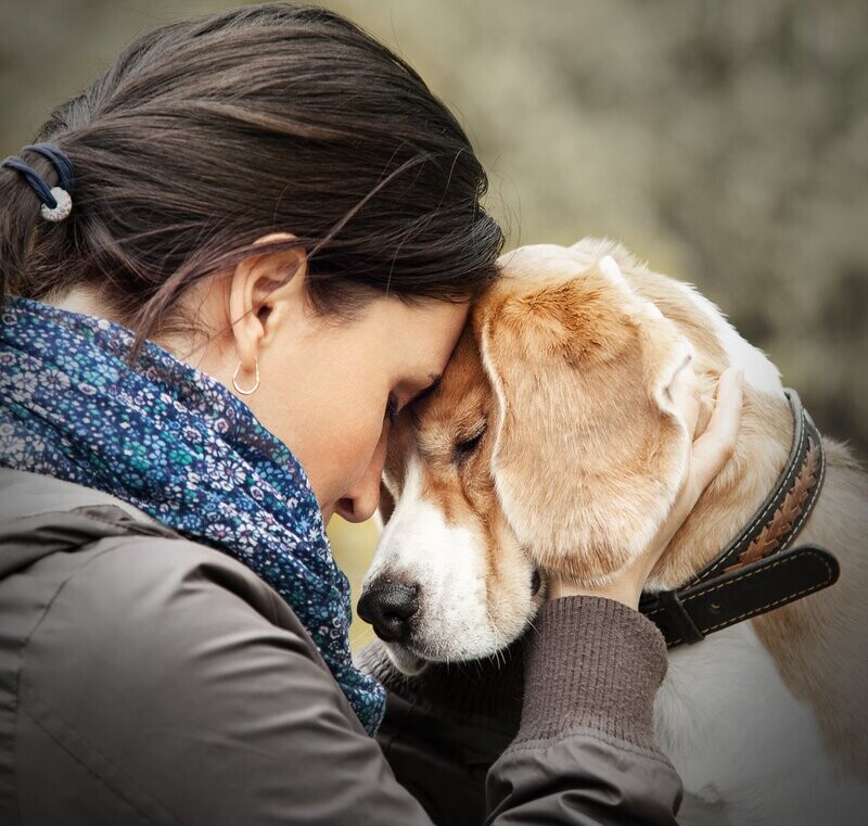 Devenir  Ami des Trophées pet friendly à la française !