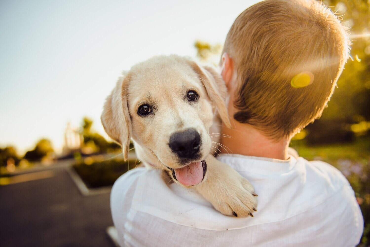 Devenir Bienfaiteur des Trophées pet friendly à la française !