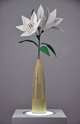Wondrous White Lily with Honesty Room Diffuser