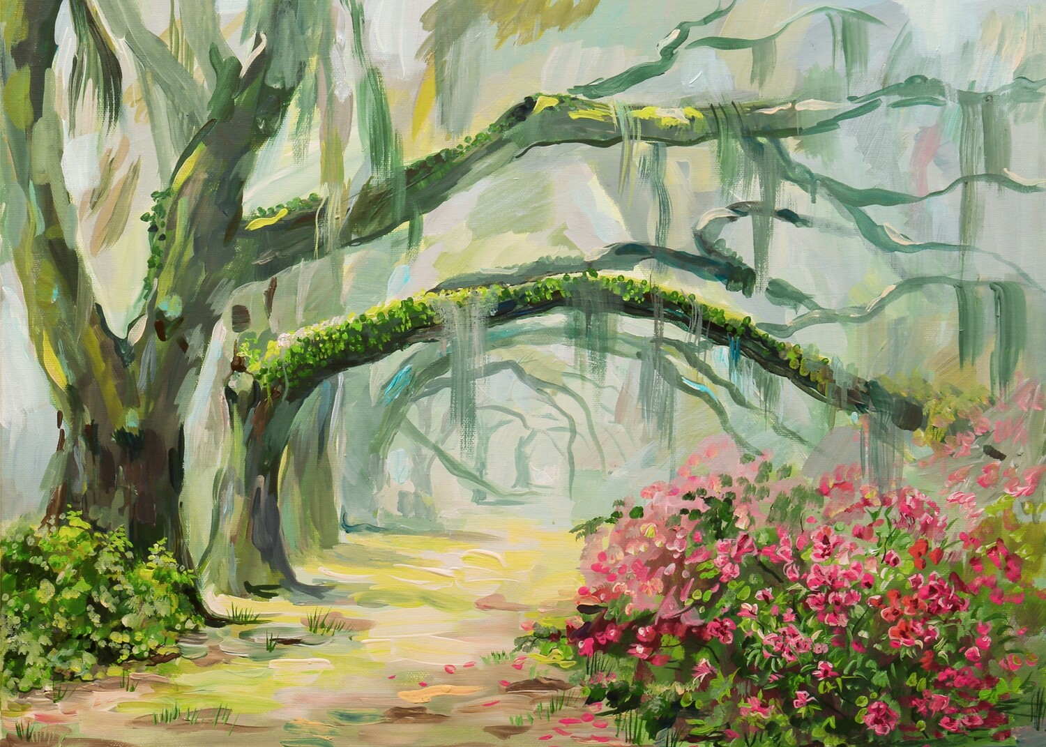 Foggy Magnolia Plantation
