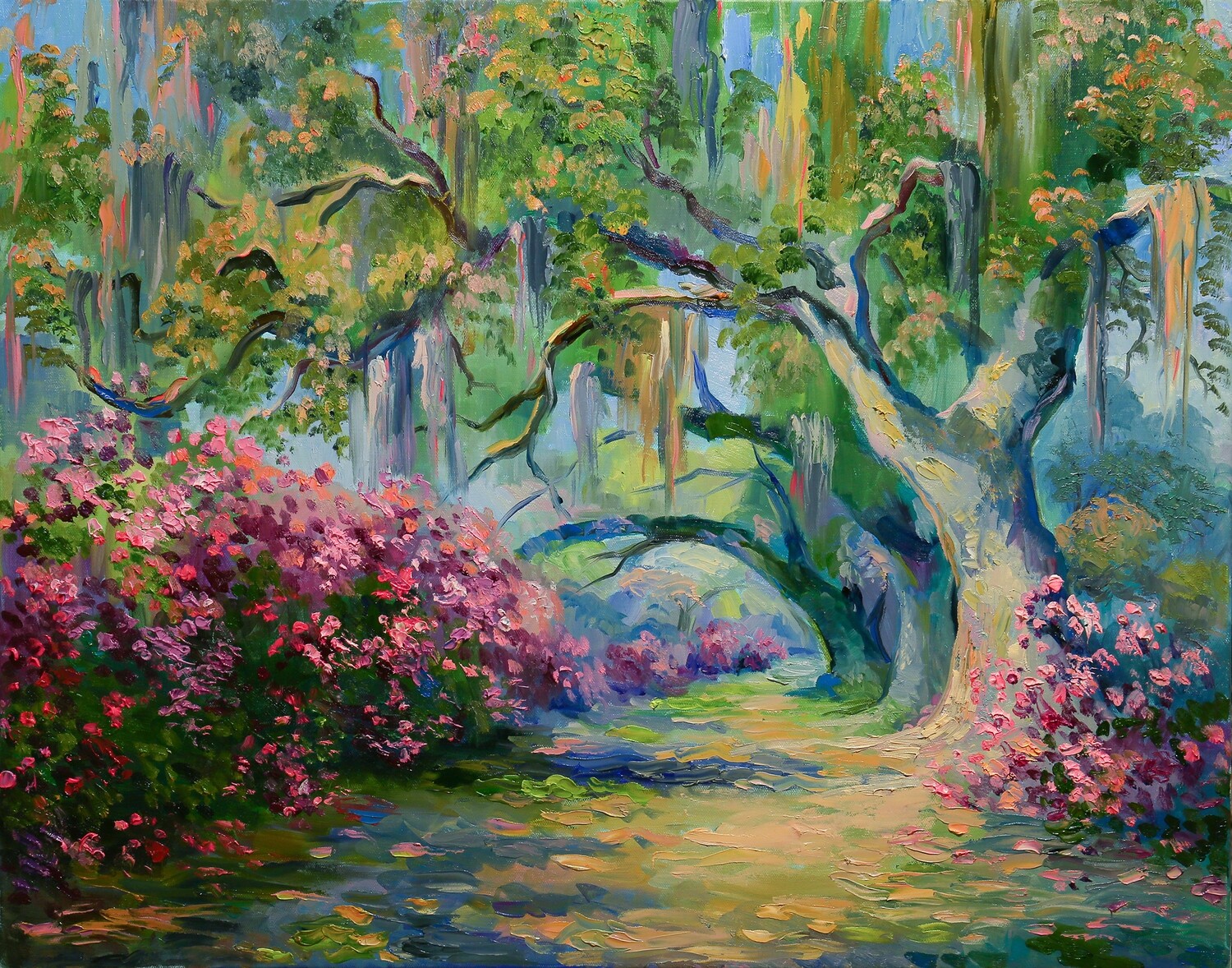 Blooming Azalea in a garden in Charleston SC.