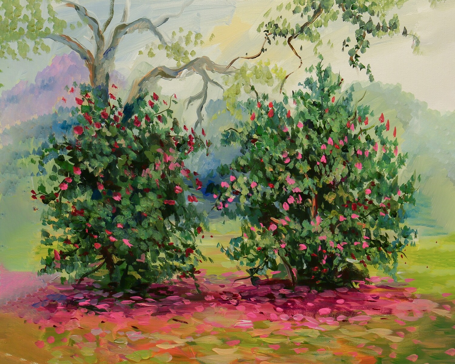 Camelia in Dixon Park, Savannah GA