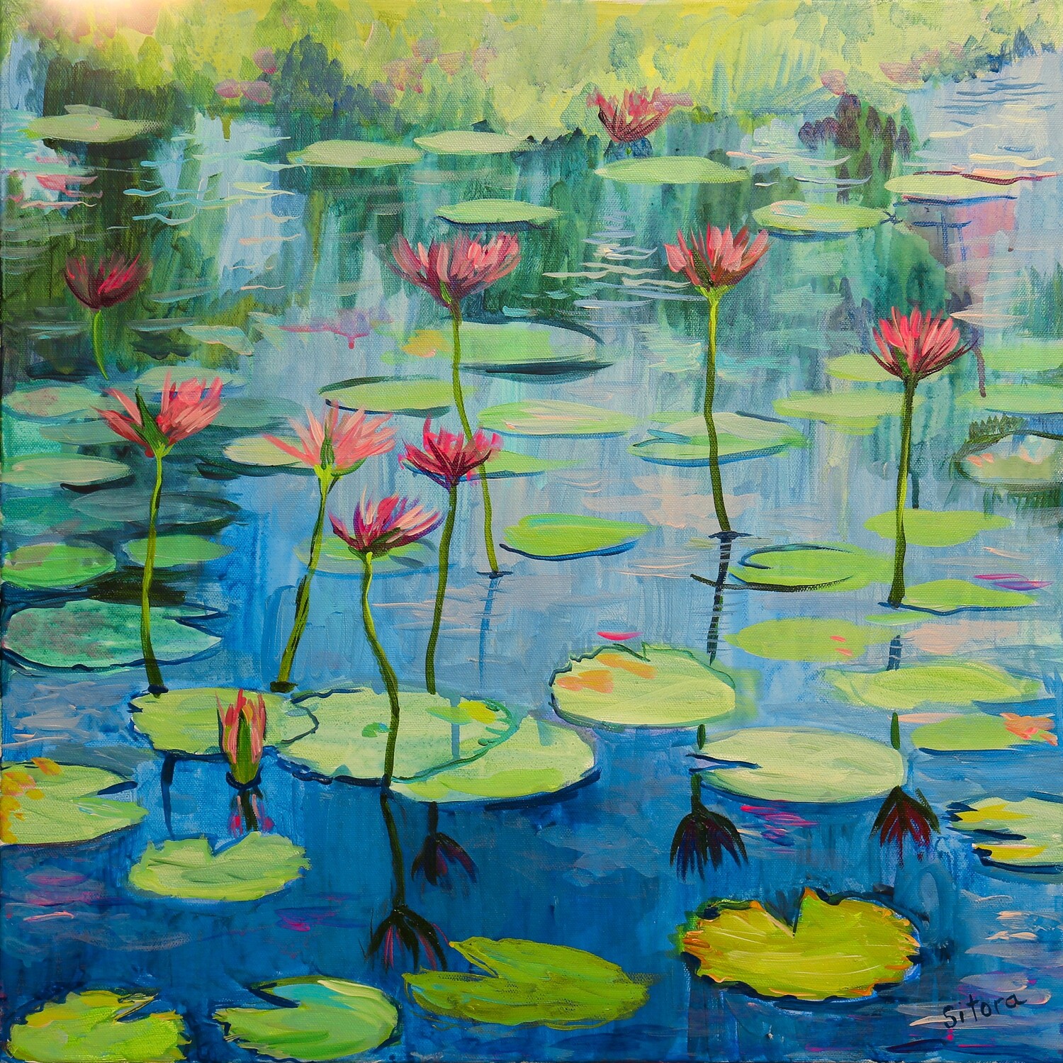 Water Lilies