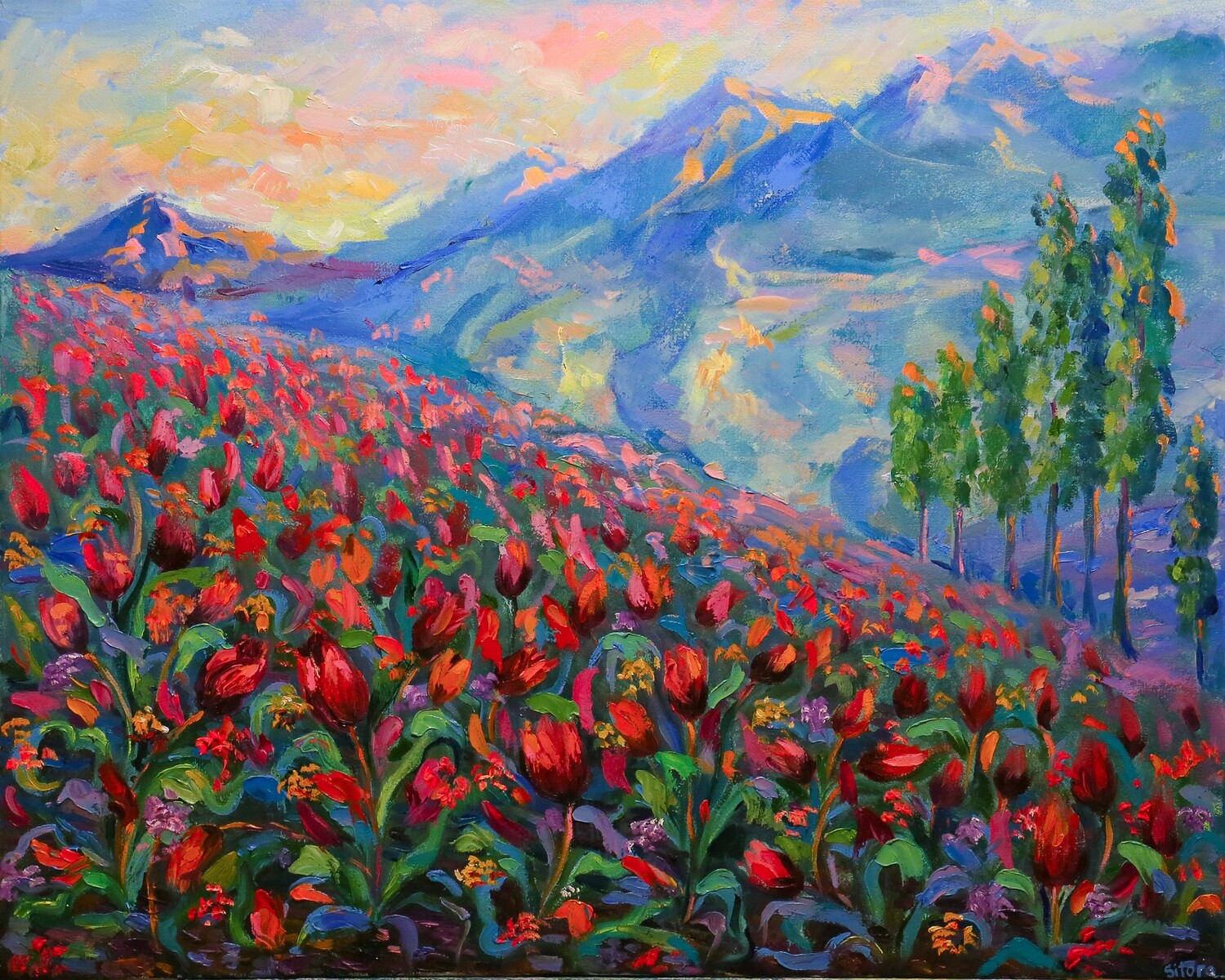 Wild Tulip in the Mountains in Tajikistan