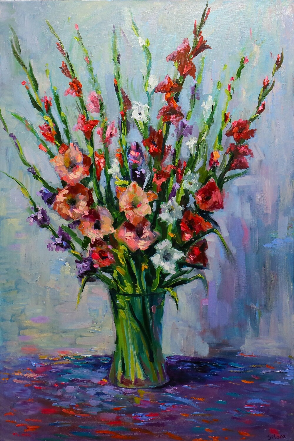 Gladiolus
