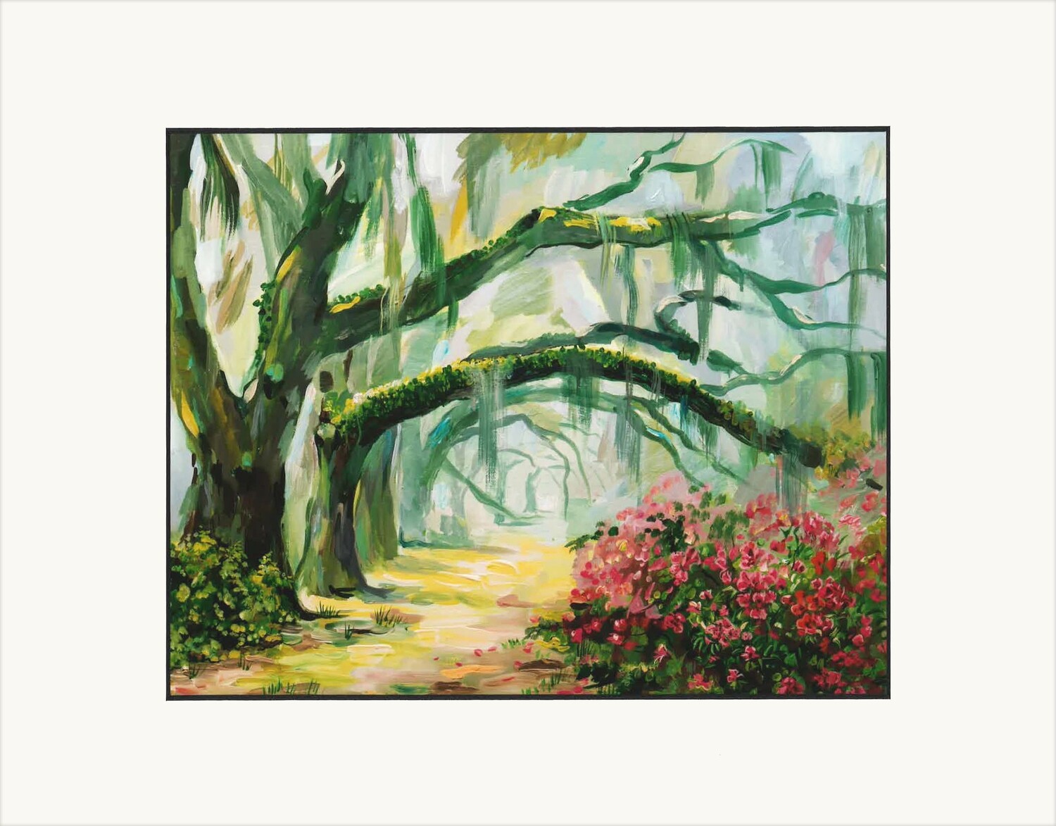 Foggy Magnolia Plantation