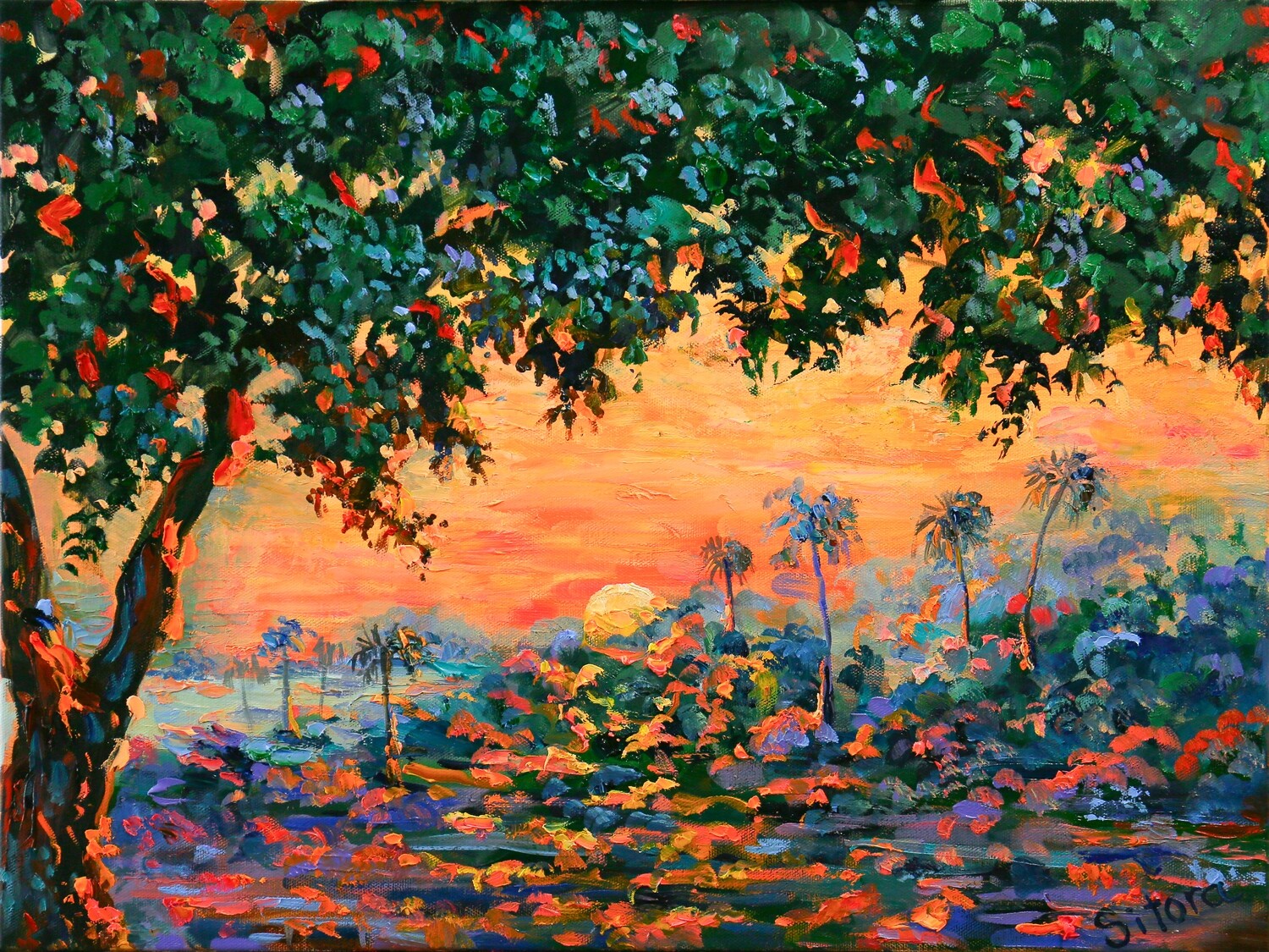 Sunset Laguna Beach Heisler Park California