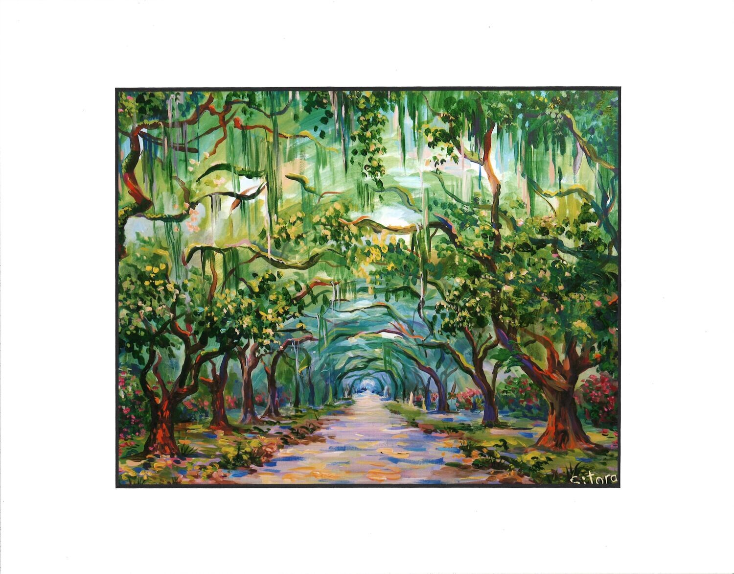 Wormsloe Historic Site,  Savannah Georgia  16&quot; x 20&quot;