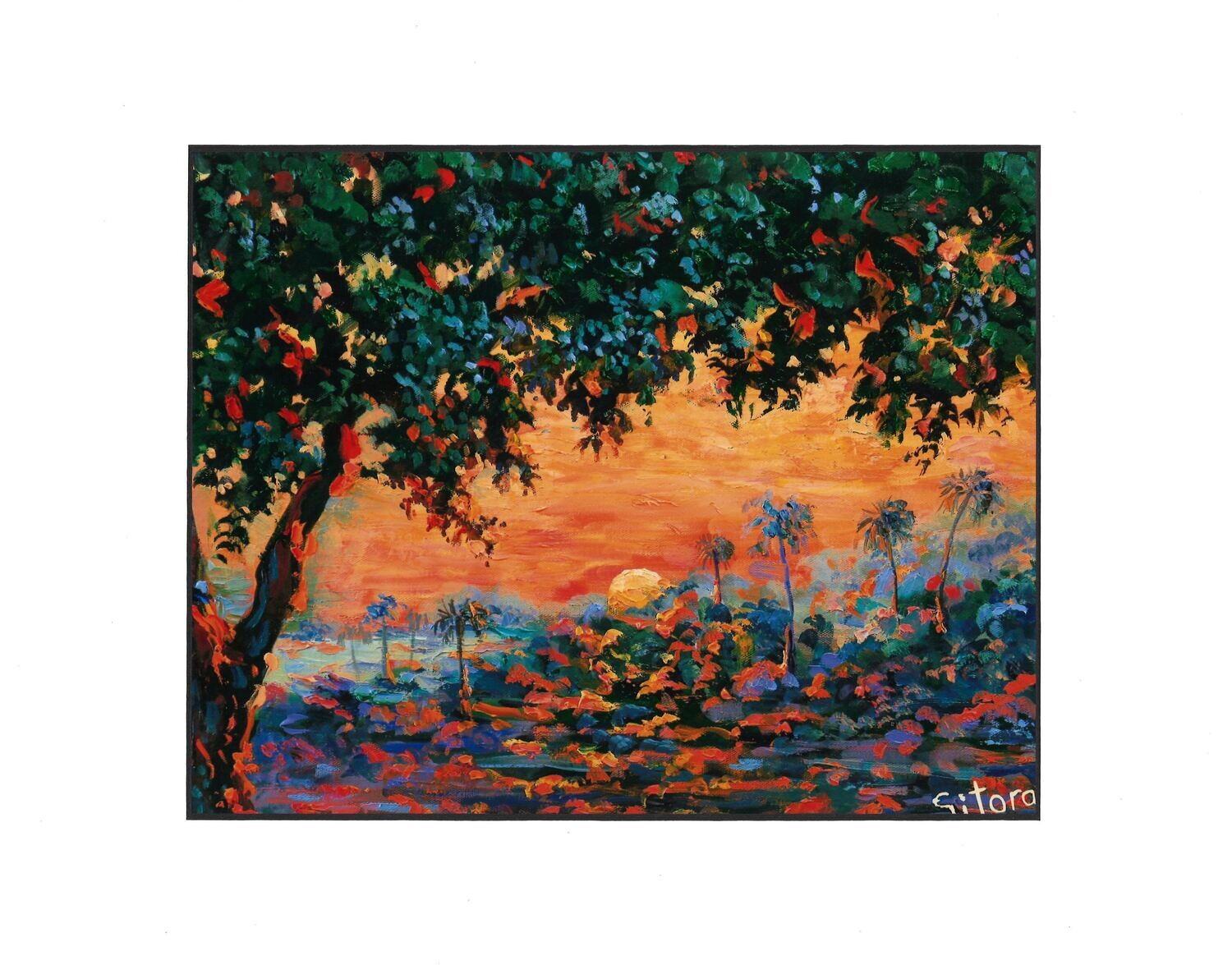 Sunset Laguna Beach Heisler Park California