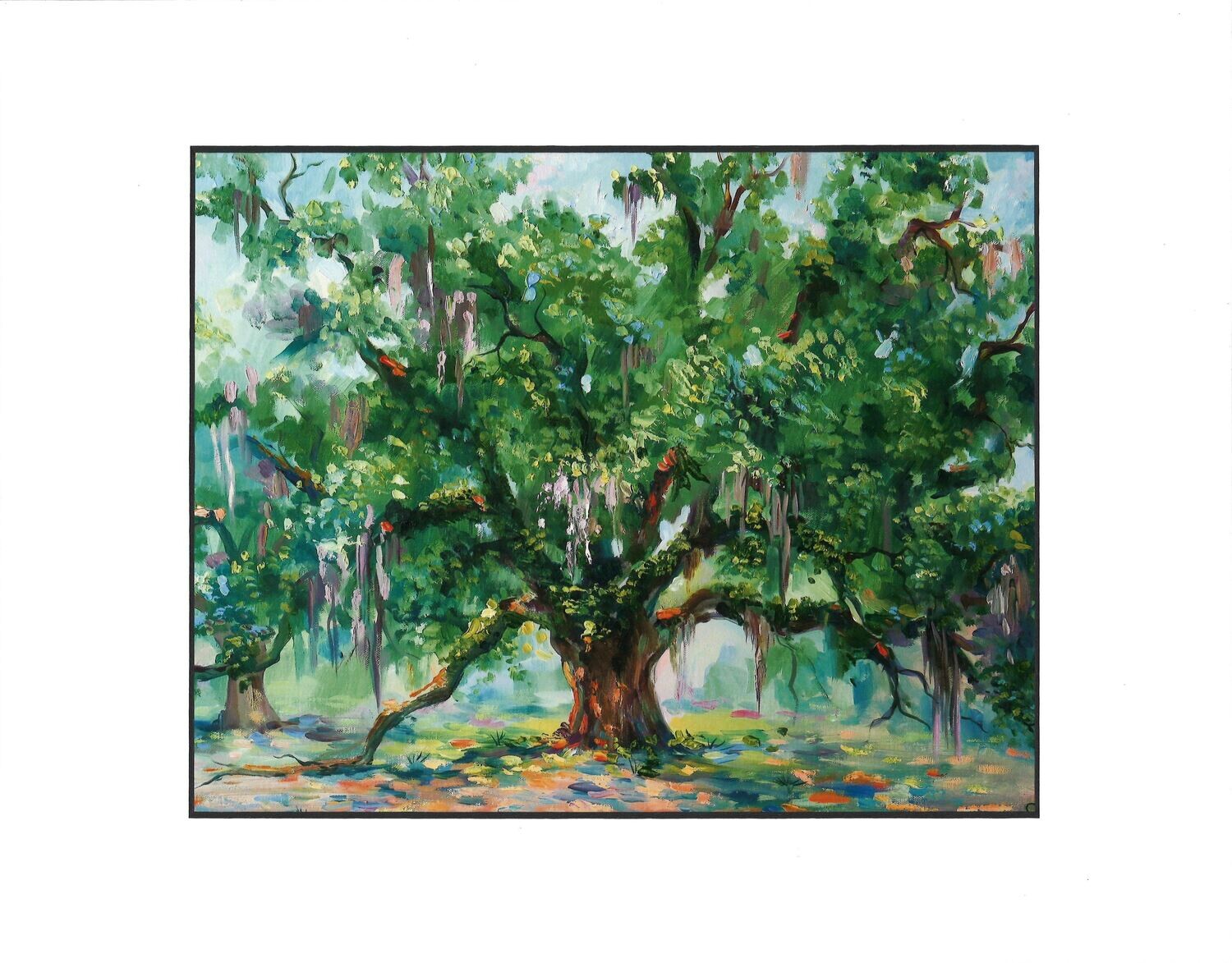 Candler Oak, Savannah GA  16&quot; x 20&quot;